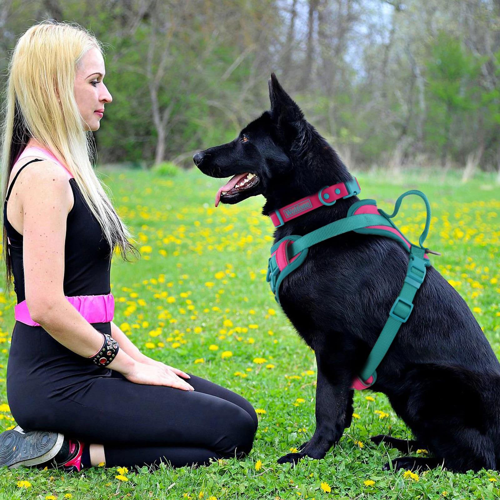 Couleurs d'épissure respirant pour harnais pour chien moyen sans traction pour grands petits chiens 
