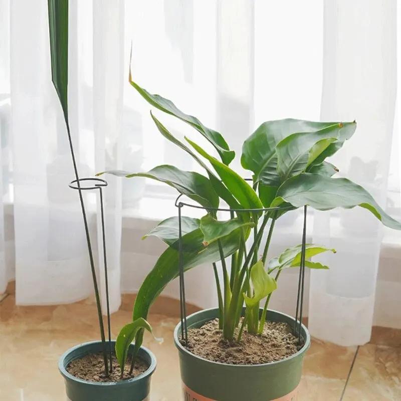 Piquets de Support pour plantes hautes, 6 pièces, Cage semi-ronde en métal pour plantes de jardin et