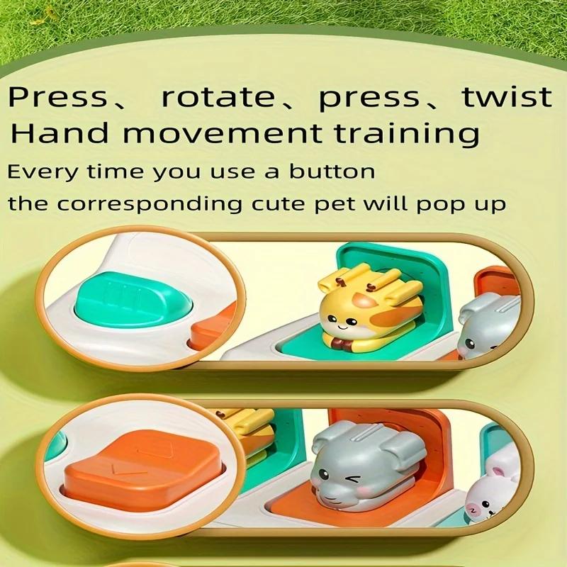Jouets animaux pop-up Montessori et boîtes d'apprentissage – Améliore la logique et les motricité, c