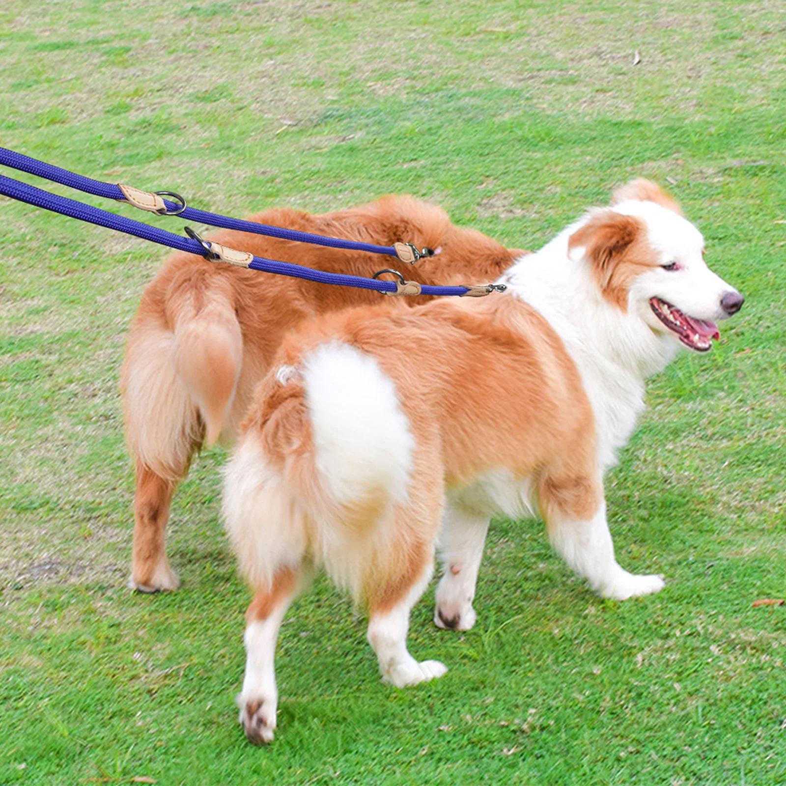 Laisses doubles polyvalentes pour chiens de taille moyenne, 210cm, réglables et en Nylon, mains libr