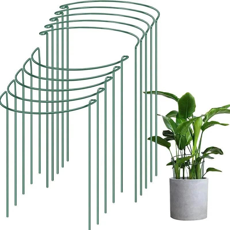Piquets de Support pour plantes hautes, 6 pièces, Cage semi-ronde en métal pour plantes de jardin et