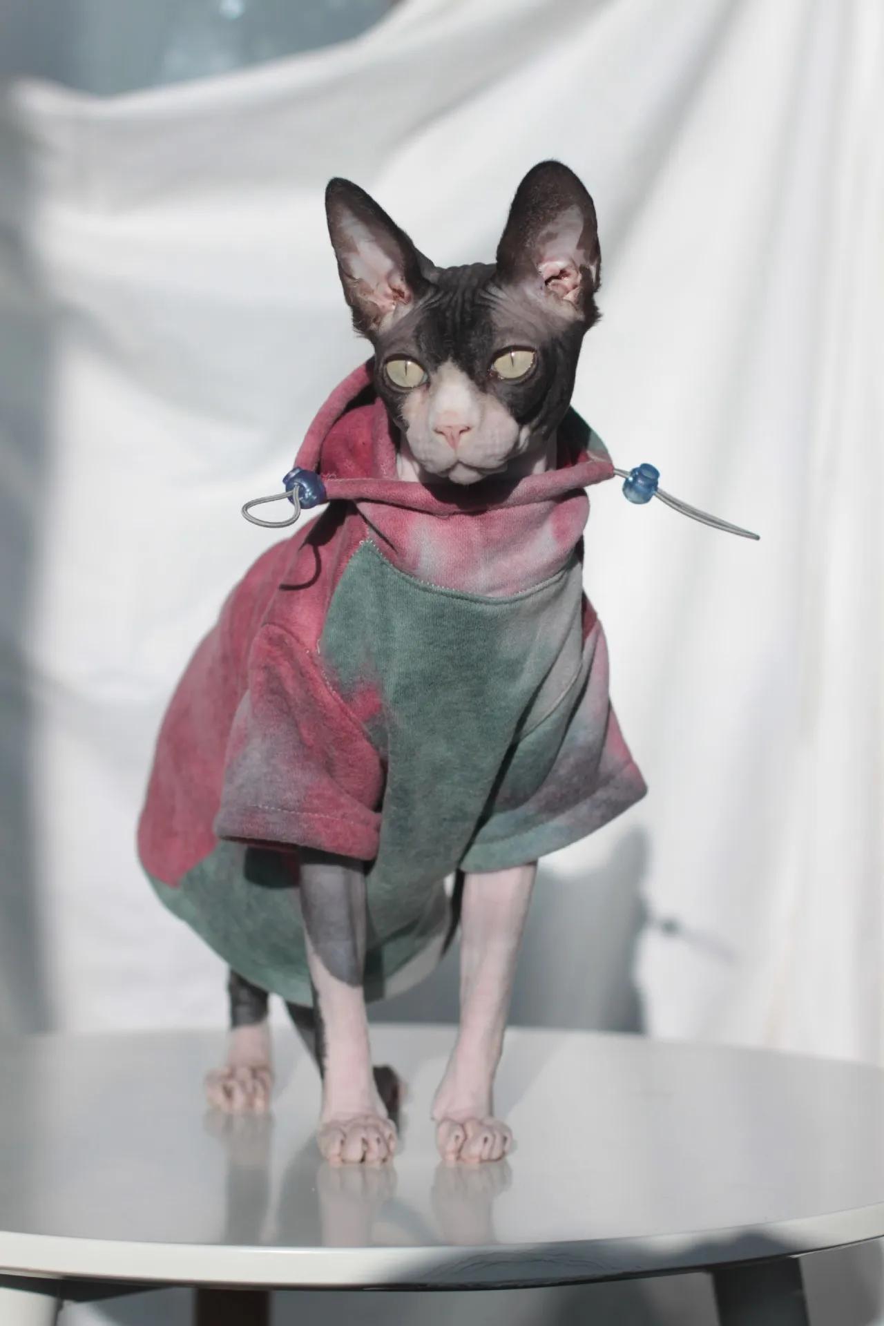 DUOMASUMI Sphynx vêtements pour chat sans poils Devon Rex vêtements automne hiver doublé polaire cha