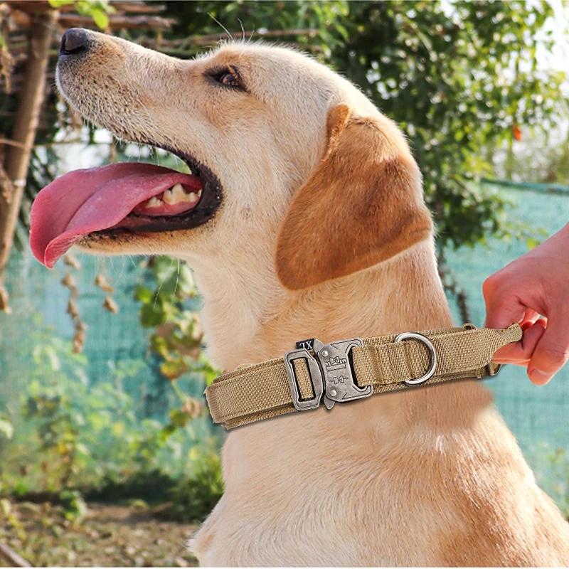 Ensemble de laisse de collier de chien de compagnie matériel en Nylon collier de chien Durable laiss