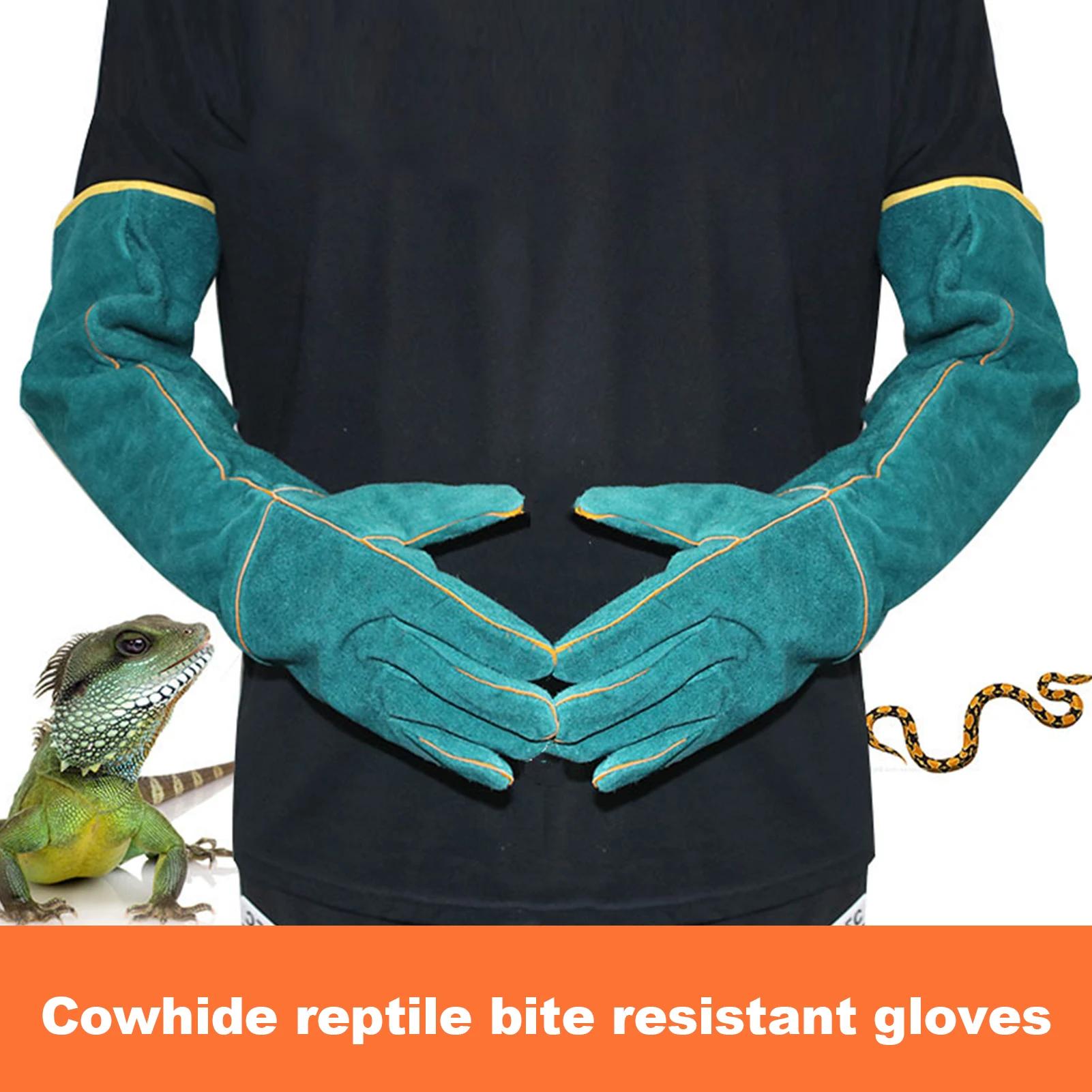 Gants de sécurité Anti-morsure, Ultra longs en cuir vert pour animaux de compagnie, gants de protect