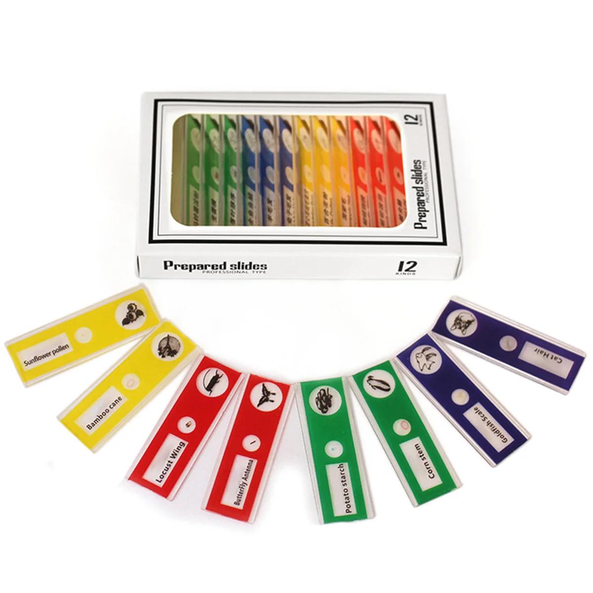 Microscope de poche pour enfants, Kit de jouets scientifiques 60-120x, Mini Microscope portatif éduc