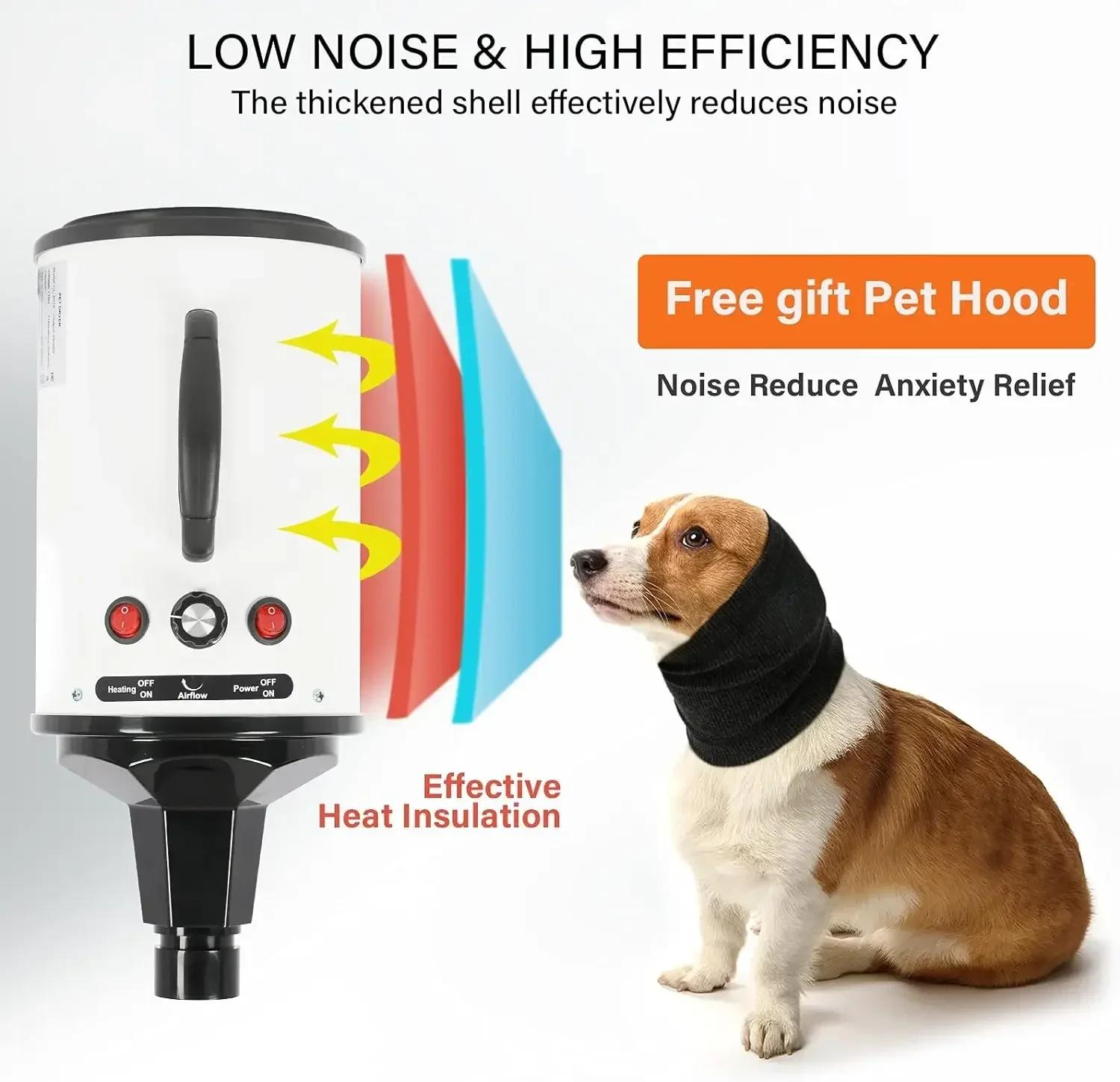Sèche-cheveux rapide et silencieux pour animaux de compagnie, souffleur de toilettage pour chiens, v