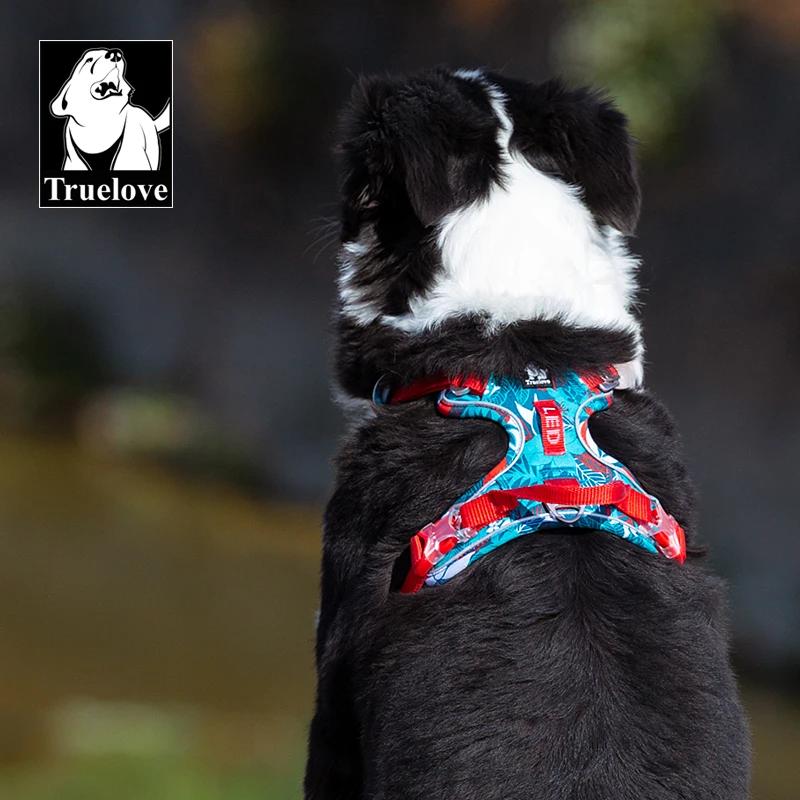 Truelove harnais pour animaux de compagnie petit moyen grand chien fendu mode extérieur livraison di