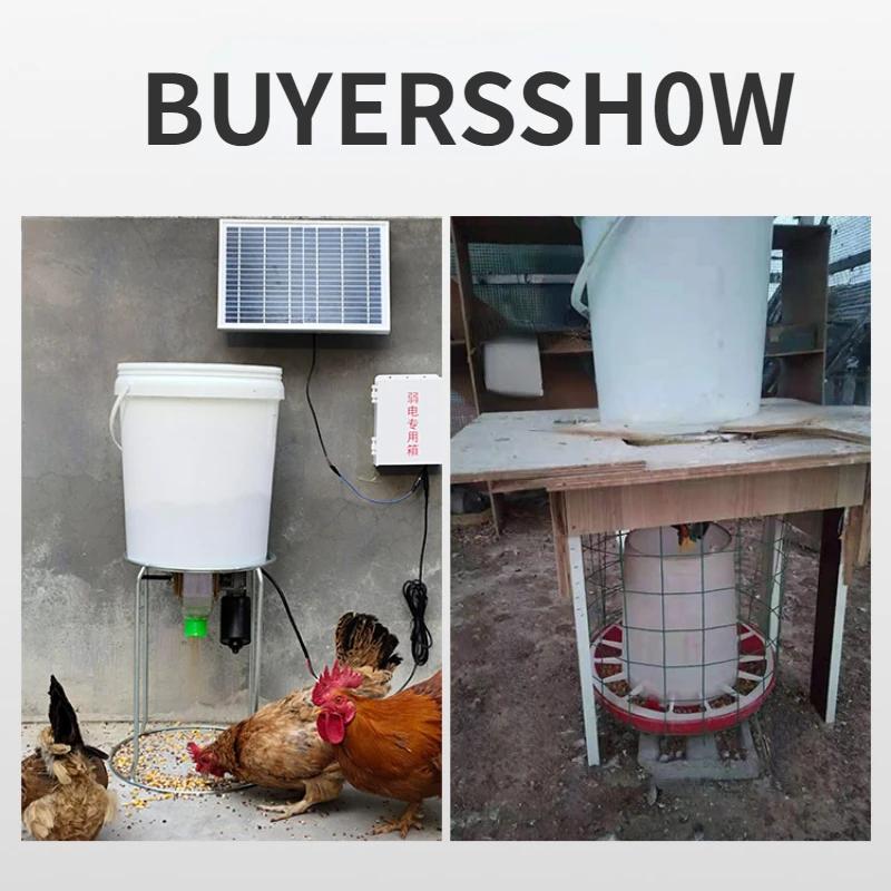 Mangeoire automatique pour poulets, support pour pigeons, canards, mangeoire pour pigeons, synchroni