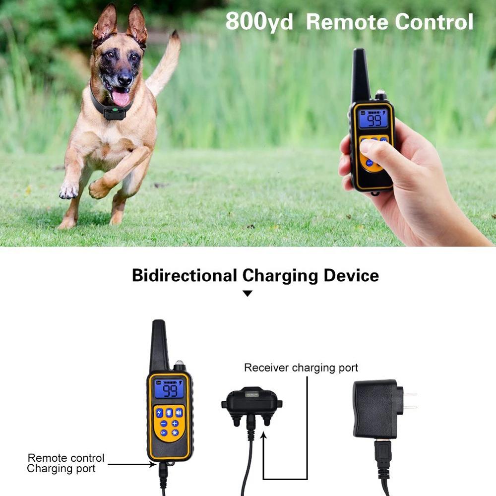 Collier Électrique Anti-Aboiement pour Chien, Étanche, avec Télécommande, Rechargeable, Dispositif d