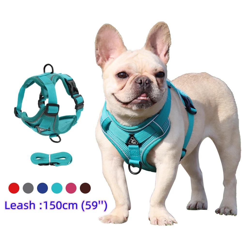 Ensemble harnais et laisse, accessoires pour animaux de compagnie, harnais pour petit chien, bouledo