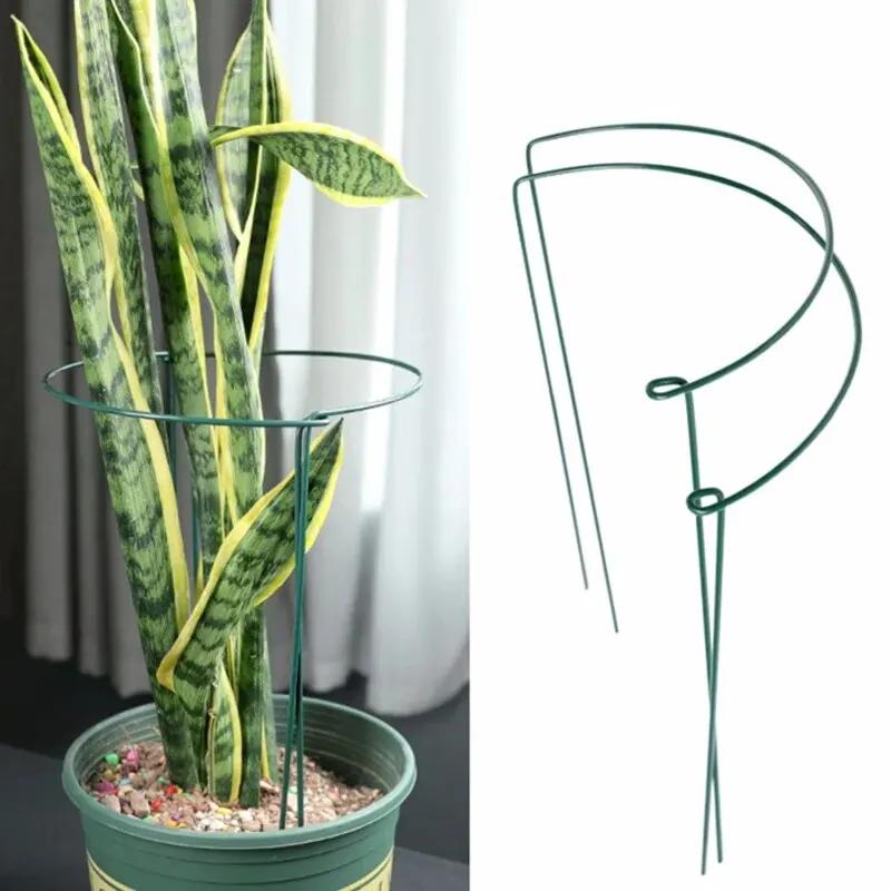 Piquets de Support pour plantes hautes, 6 pièces, Cage semi-ronde en métal pour plantes de jardin et