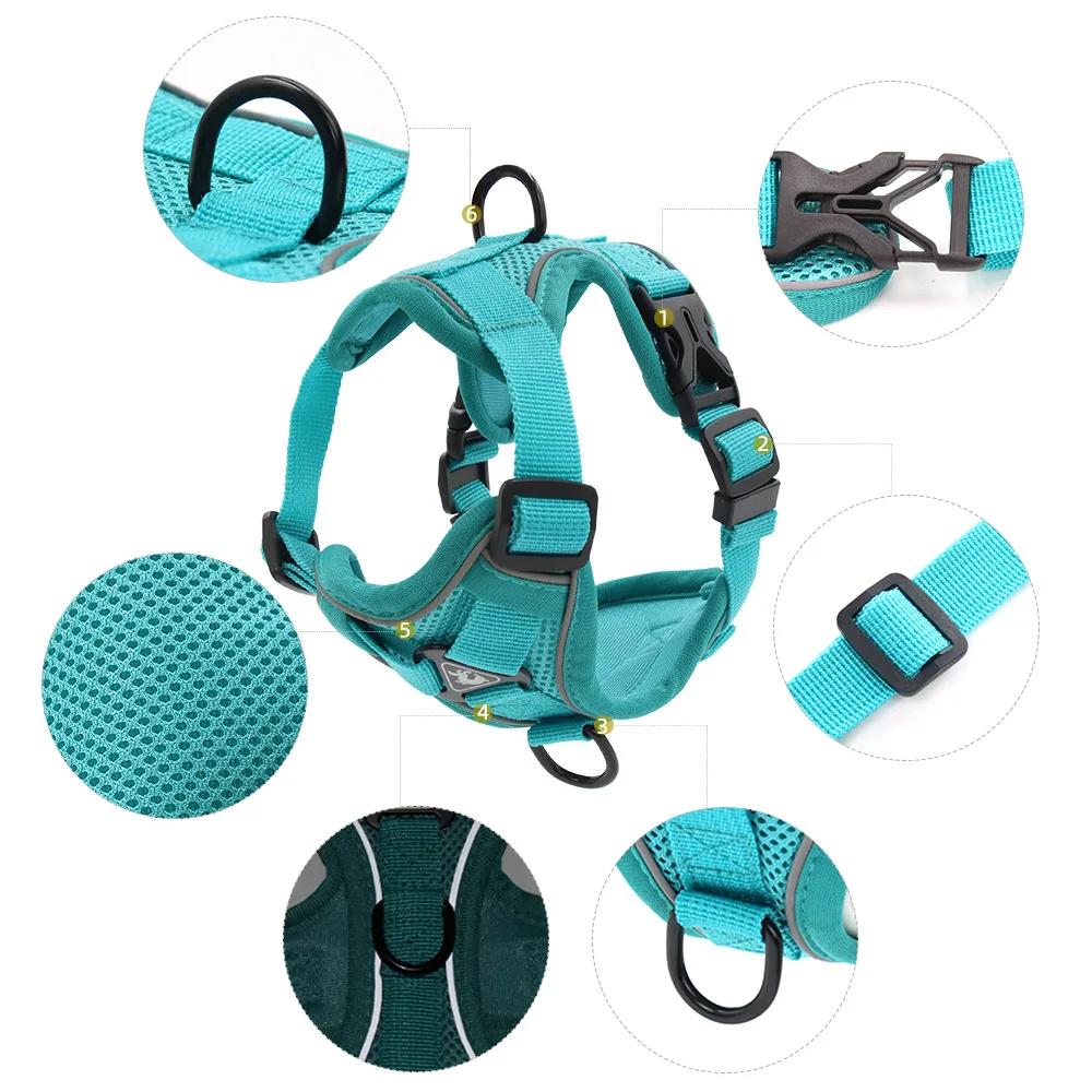 Ensemble harnais et laisse, accessoires pour animaux de compagnie, harnais pour petit chien, bouledo
