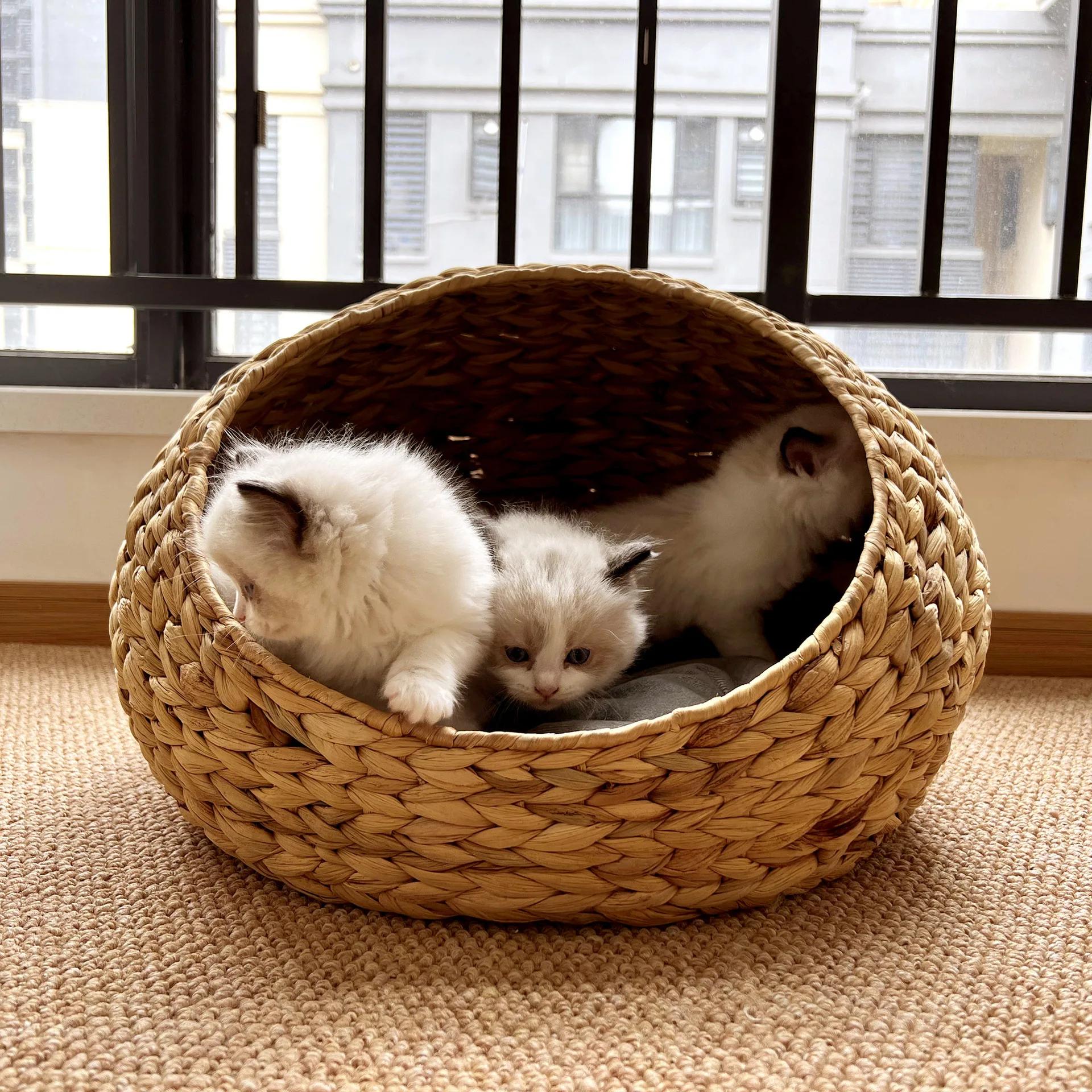 Nid pour animaux de compagnie semi-fermé en jacinthe d'eau populaire, litière en rotin pour chat, li