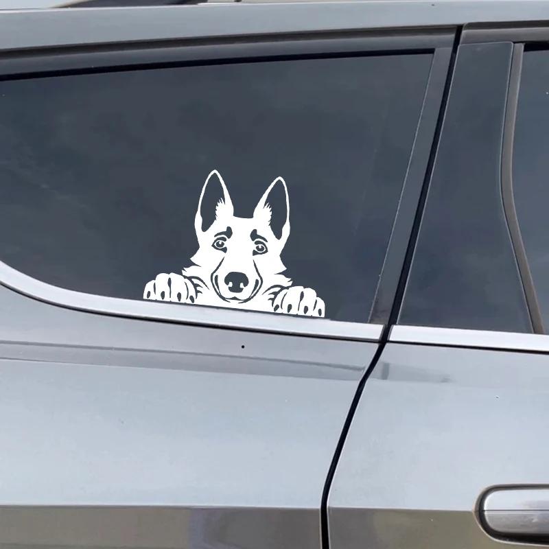 Voitures accessoire décalcomanies drôle chien avec nom voiture décalcomanie chiens animaux de compag