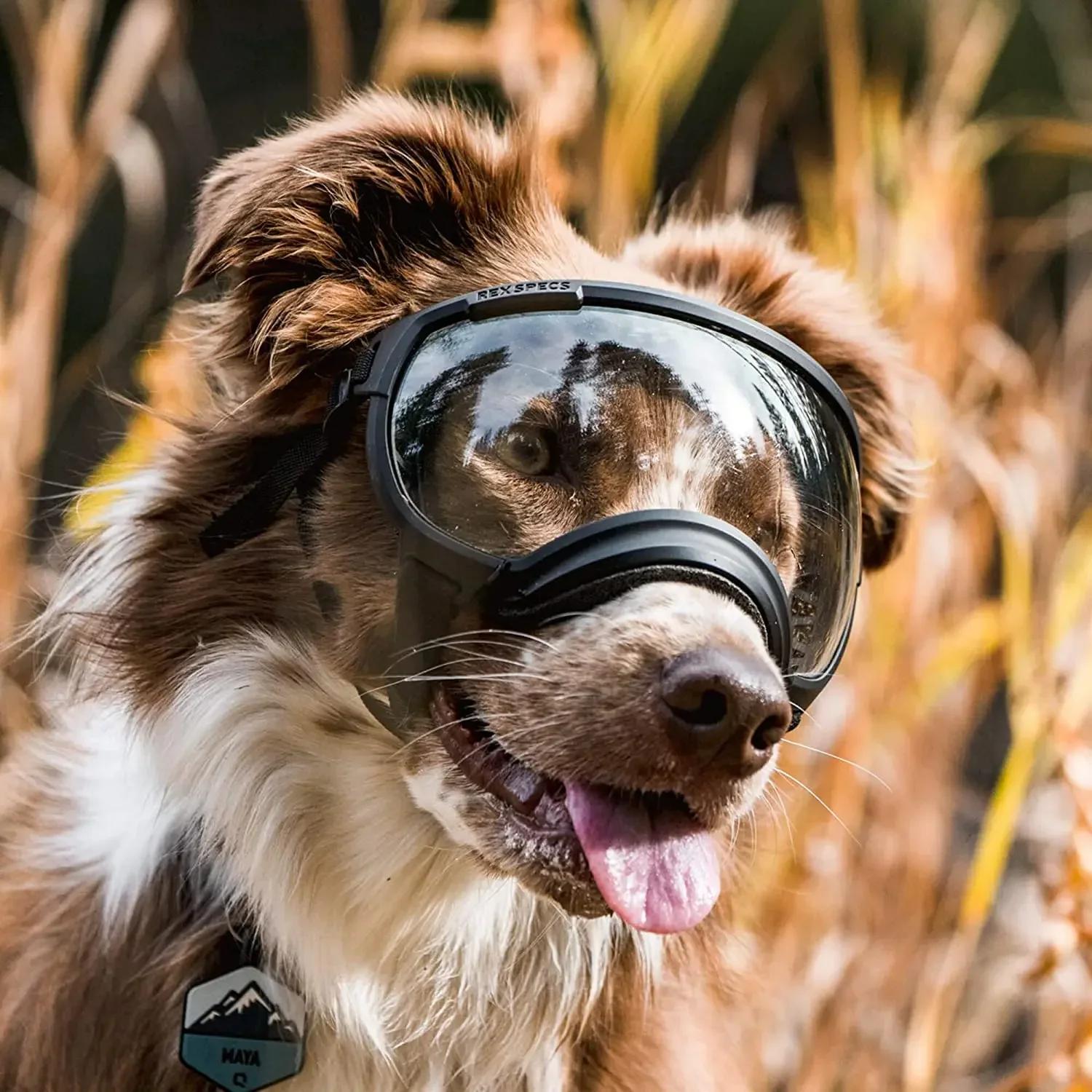 ATUBAN lunettes pour chien lunettes pour animaux de compagnie Anti UV forte résistance aux chocs rég