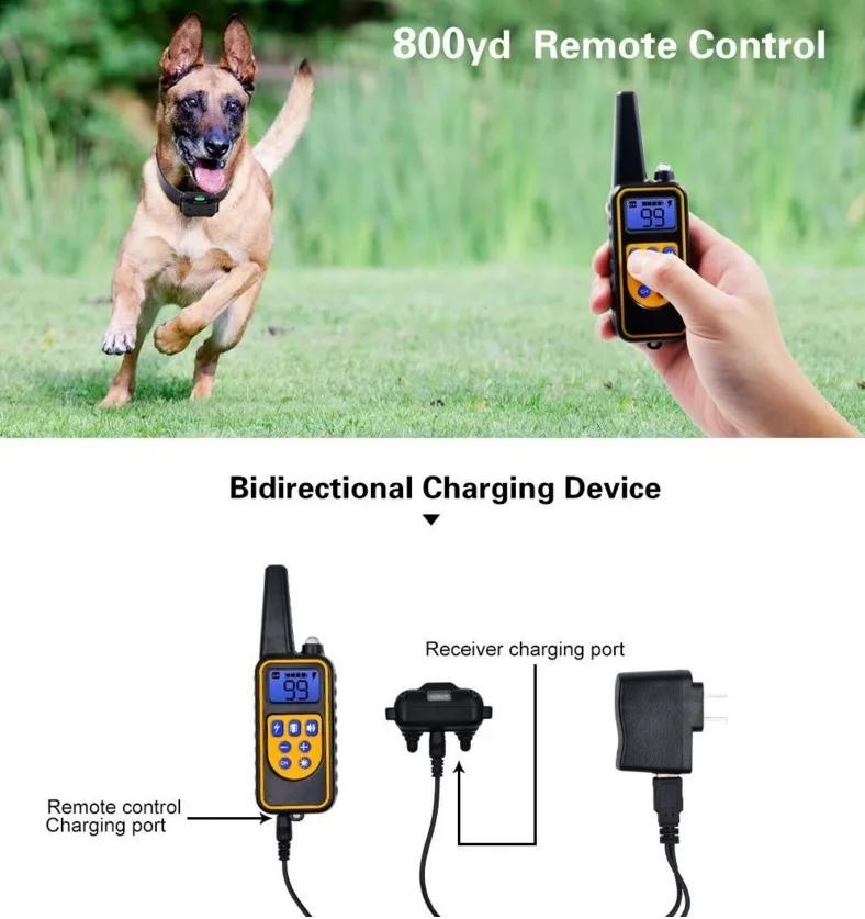Collier de dressage électrique pour chien, 800m, étanche, télécommande pour animaux de compagnie, Re