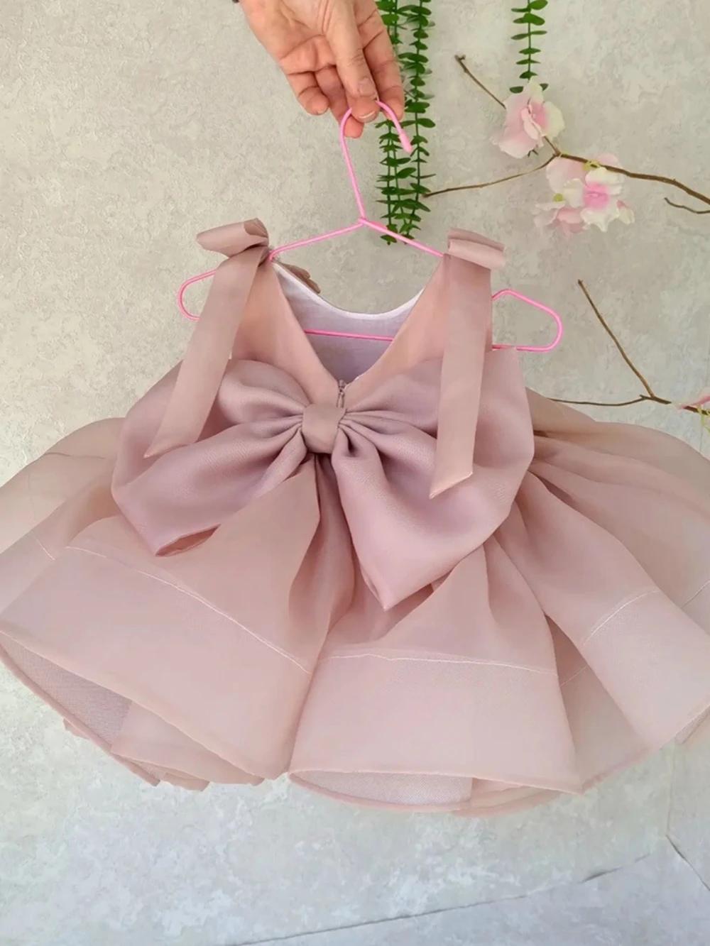 Robe de Princesse Bouffante en Tulle pour Enfant, Rose Doux, pour Spectacle Sв, avec Nministériels d