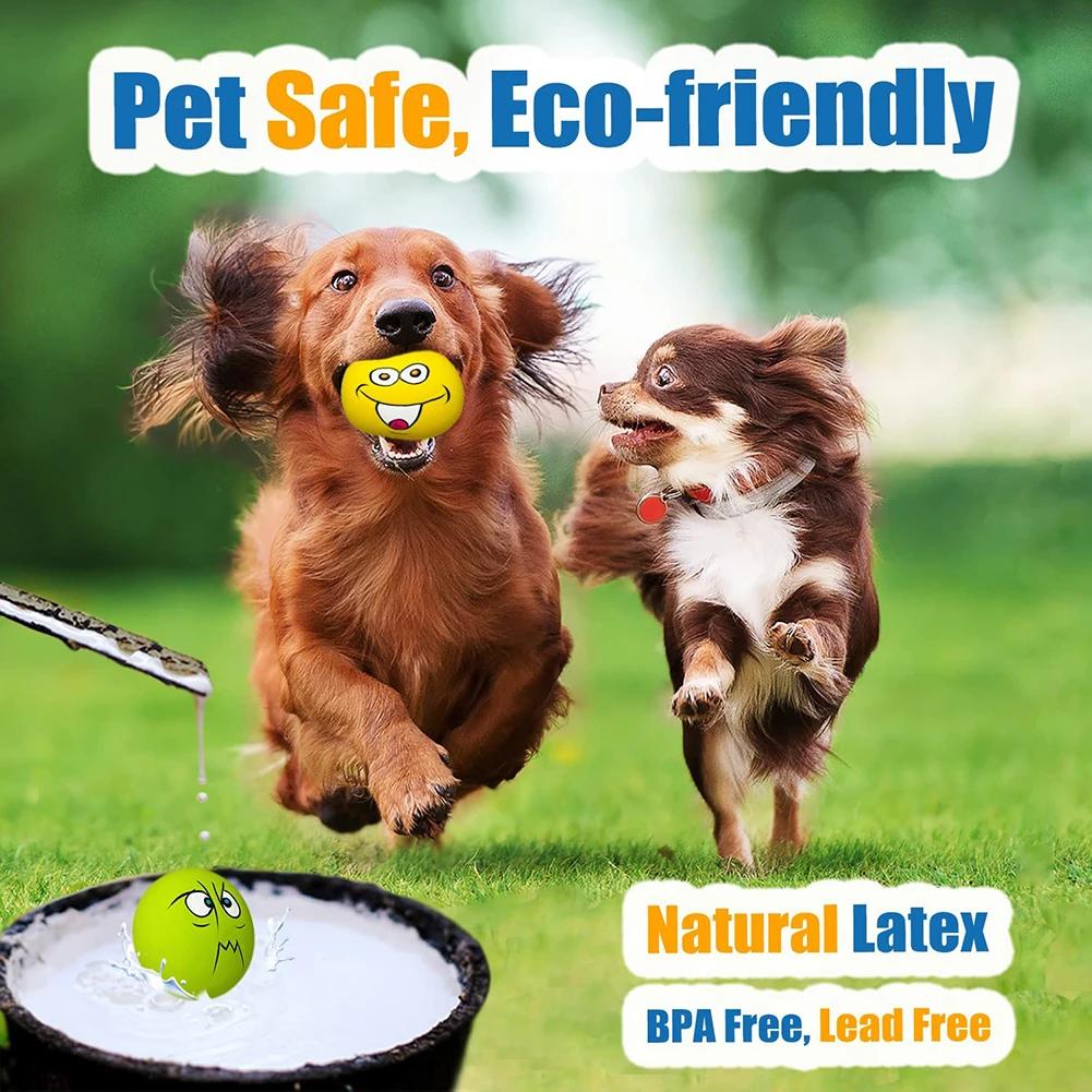 Jouets grinçants en Latex pour chiens, 6 pièces, jouets en caoutchouc doux pour chiens, jouet à mâch