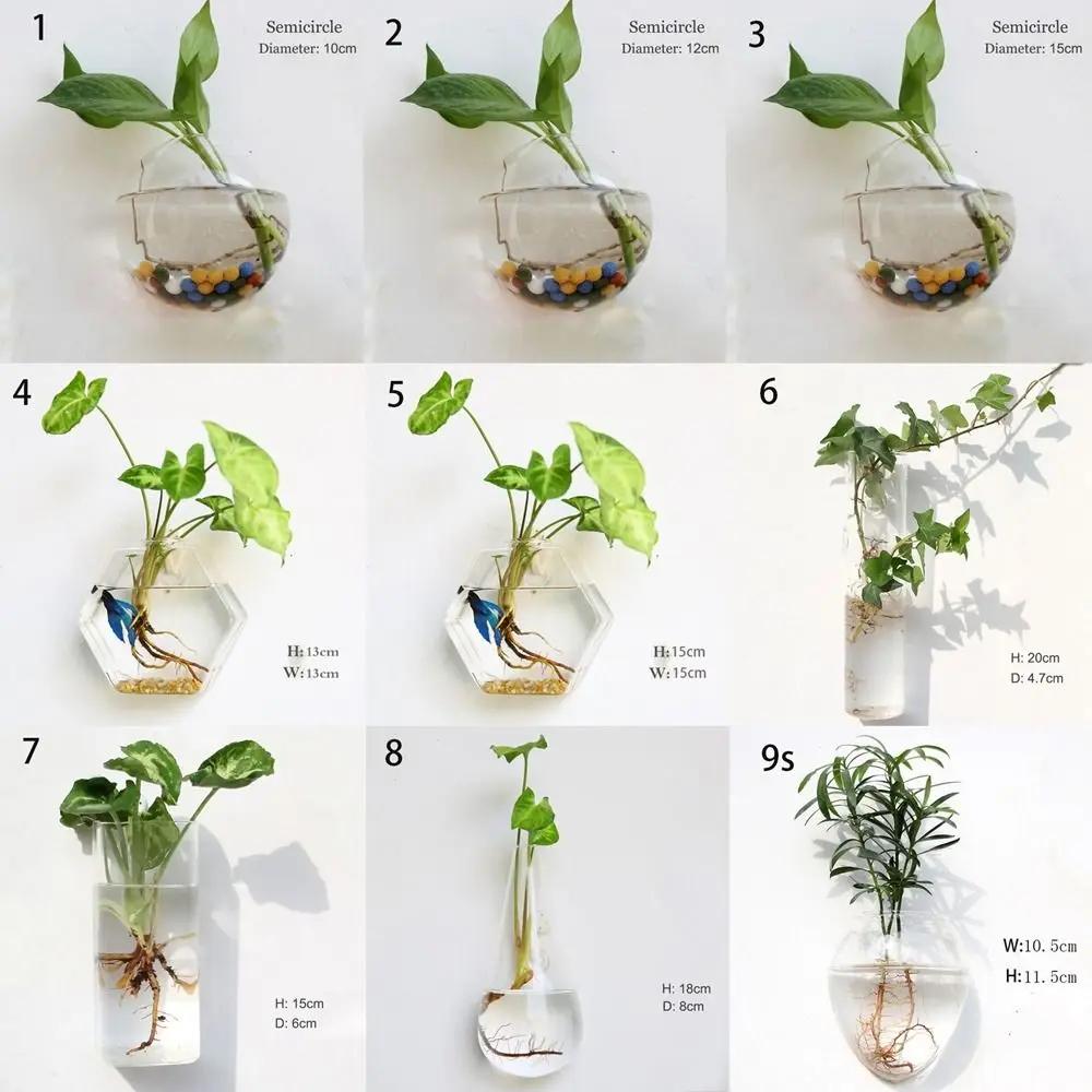 Plantes hydroponiques murales de forme irrégulière, artisanat en verre, vase hydroponique, récipient