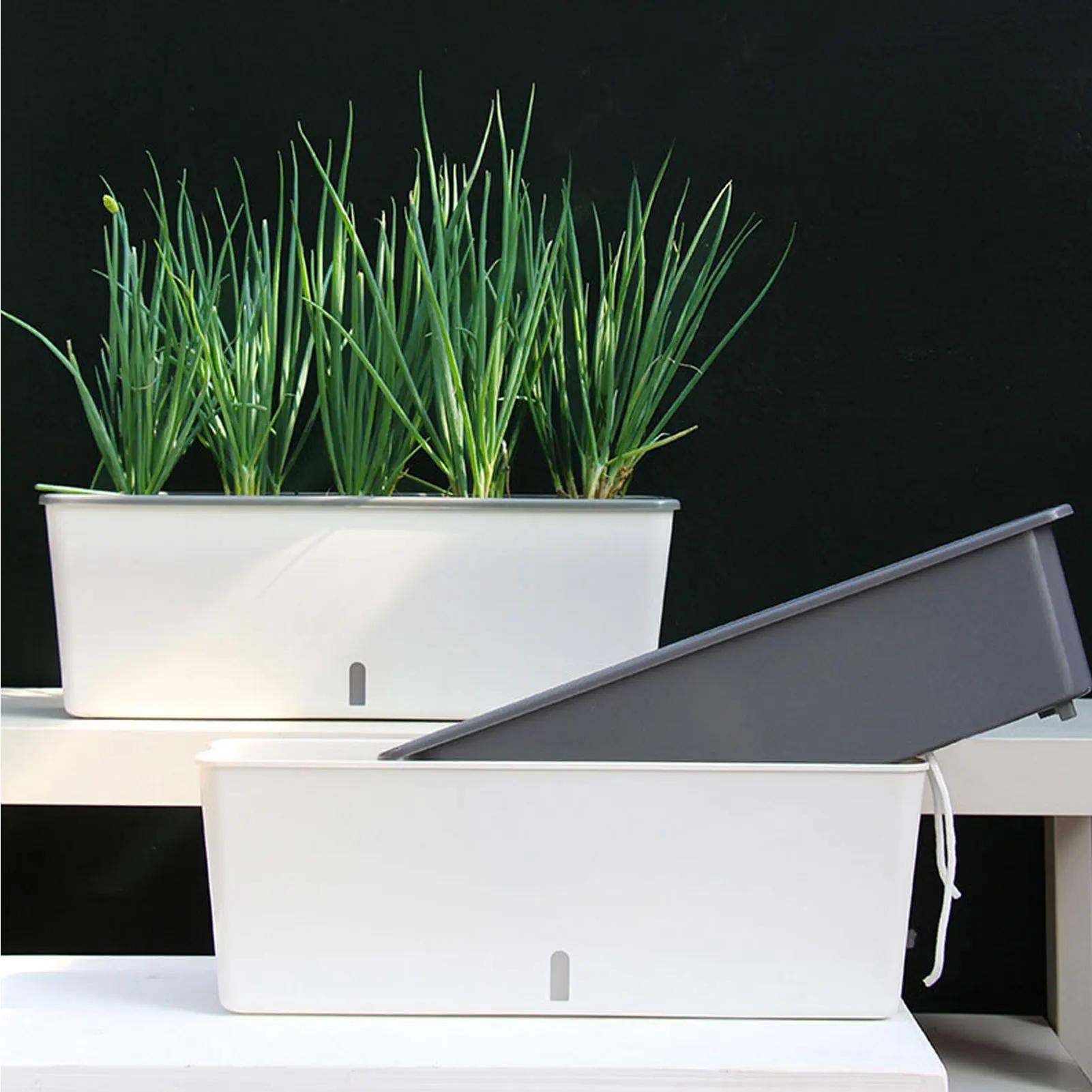 Pots de jardinière à arrosage automatique avec indicateur de niveau d'eau pratique, cadeau pour amis