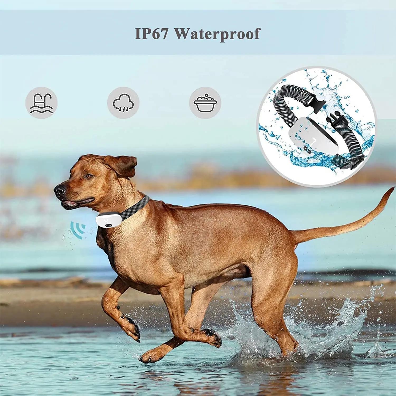 Collier Anti-aboiement pour chien, choc électrique, son de Vibration avec LED pour petits et grands 