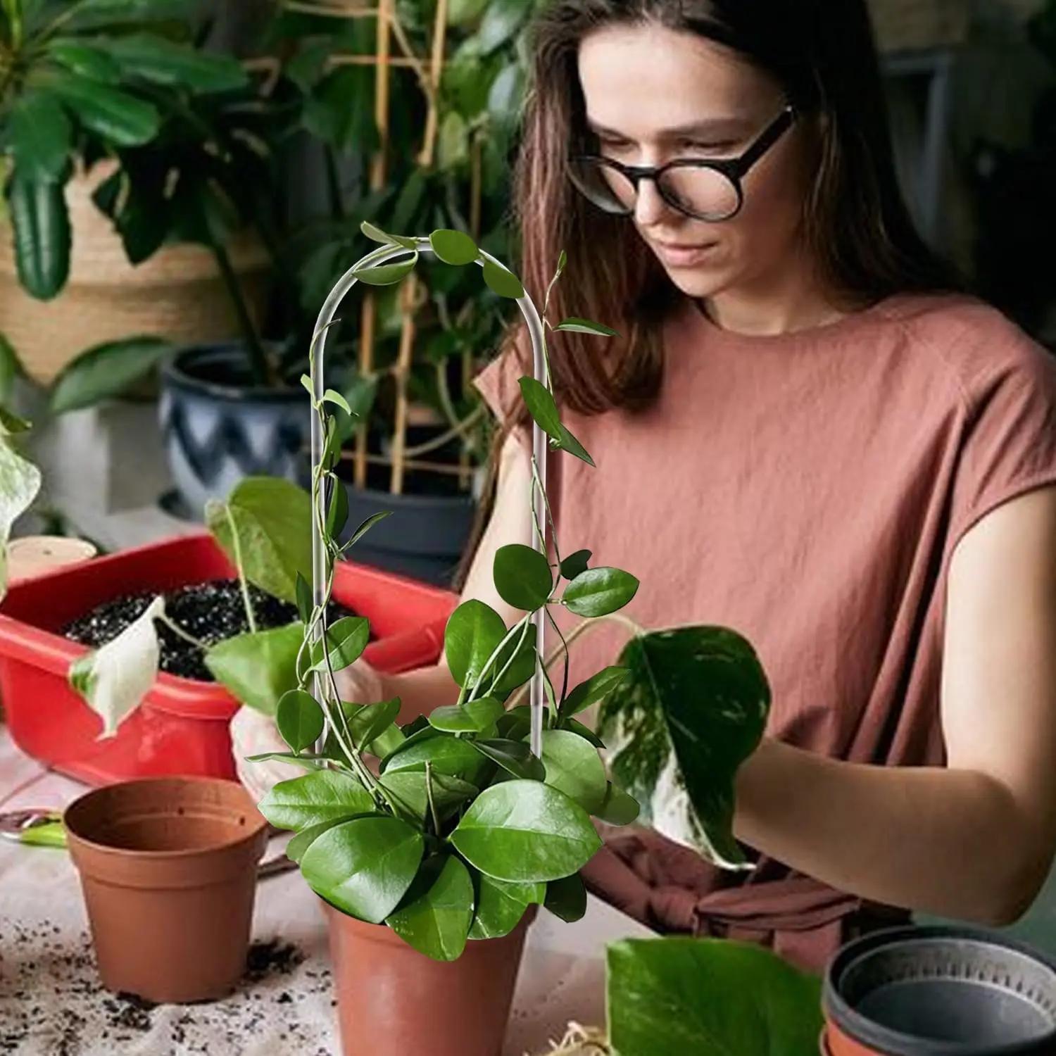 Cadre d'escalade pour plantes en acrylique transparent en forme de U, structure de support spécialem