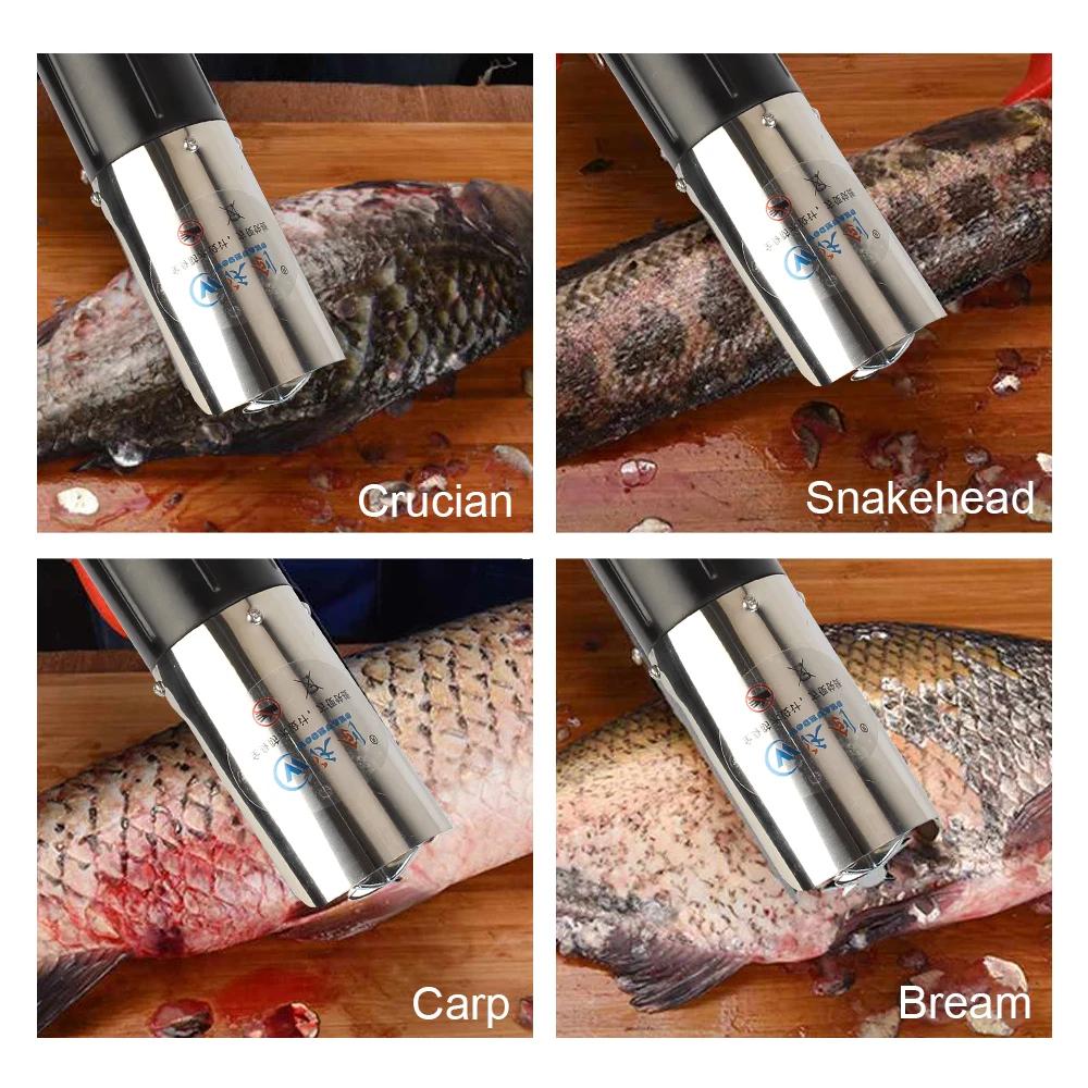 NICEYARD-Détartreur de poisson électrique, 6000 tr/min, prise UE, outils de cuisine, pour fruits de 