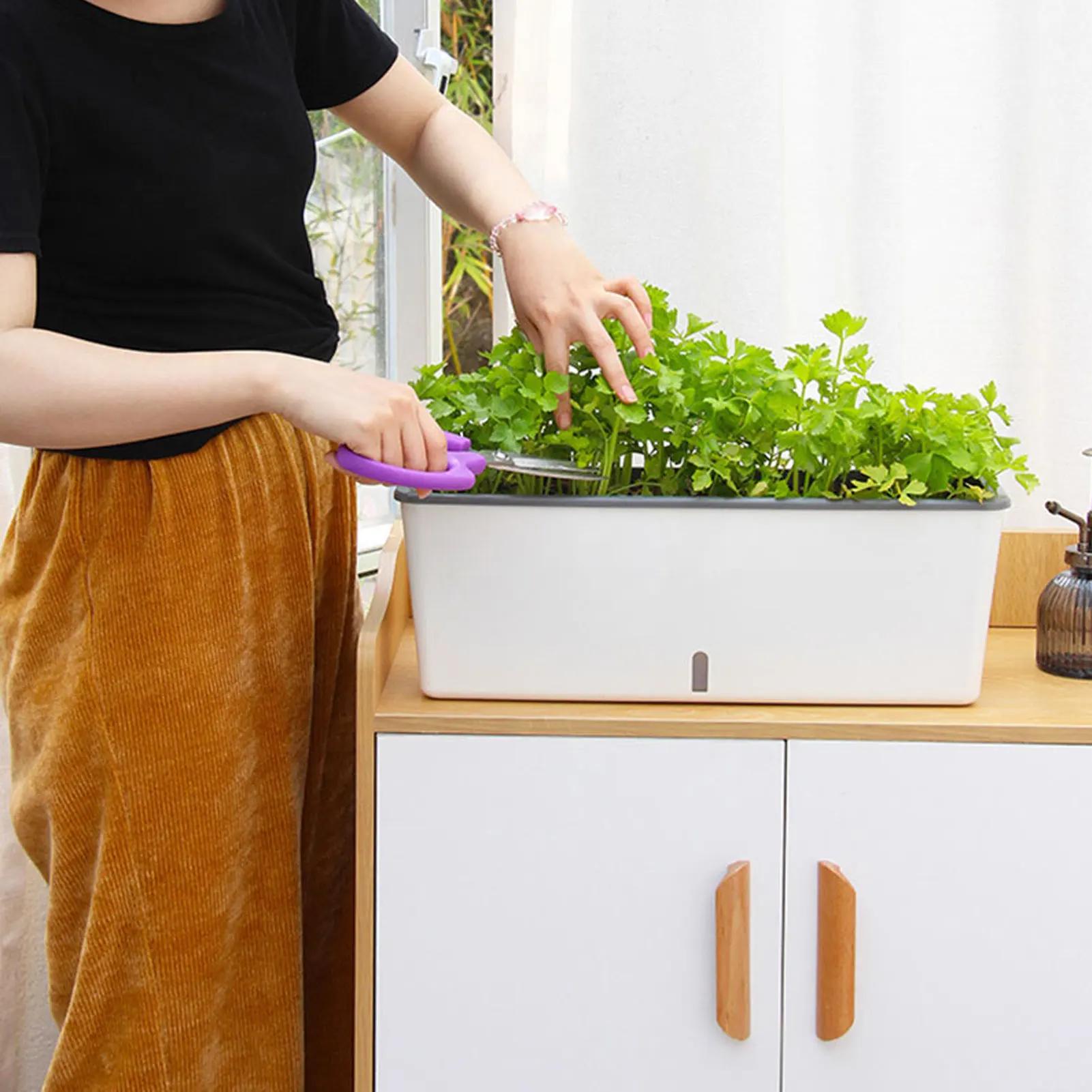 Pots de jardinière à arrosage automatique avec indicateur de niveau d'eau pratique, cadeau pour amis