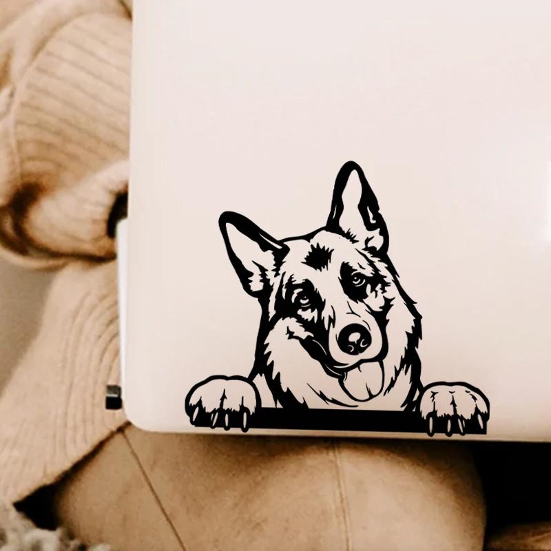 Voitures accessoire décalcomanies drôle chien avec nom voiture décalcomanie chiens animaux de compag