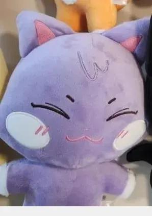Animaux en peluche Kawaii Kpop Aniteez, jouet en peluche, décoration de chambre, 14-joong, Seonghwa,
