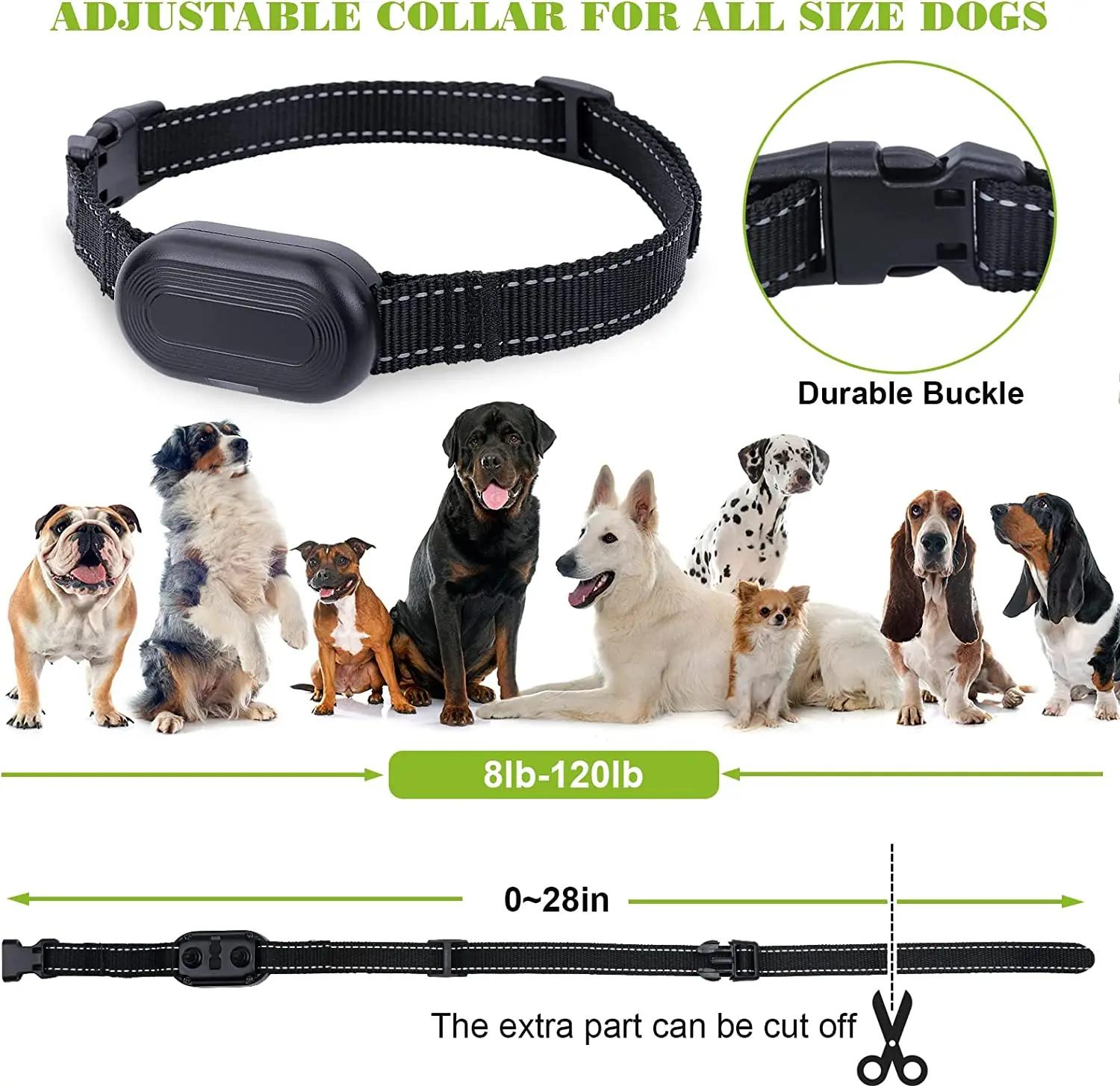 Nouveau collier de dressage pour chien 2026, étanche, pour chiens de grande, moyenne et petite taill
