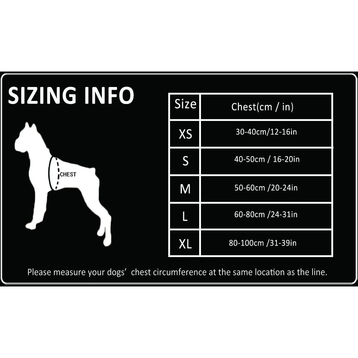 TRUELOVE Pet Hairy Usag Premium Trail Runner No-Pull Harnais pour chien 3M Sangles réfléchissantes C