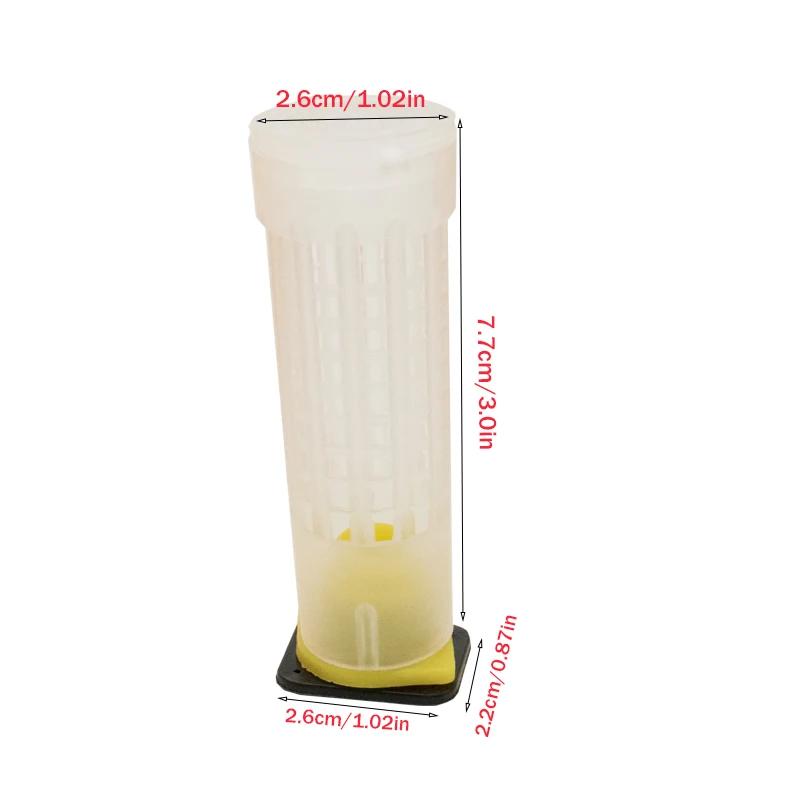 50 pièces Nicot abeille cheveux rouleau reine Cages en plastique protection scellé cellule couvertur