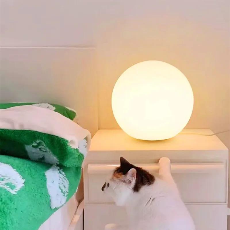 Boule décorative lampe de Table chevet veilleuse filles Ins cadeau atmosphère lampe romantique chaud