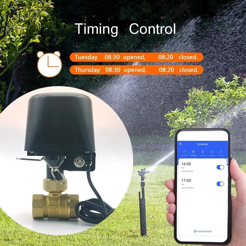 Tuya Zigbee WIFI vanne d'eau intelligente DN15 DN20 DN25 contrôle domotique robinet minuterie prise 