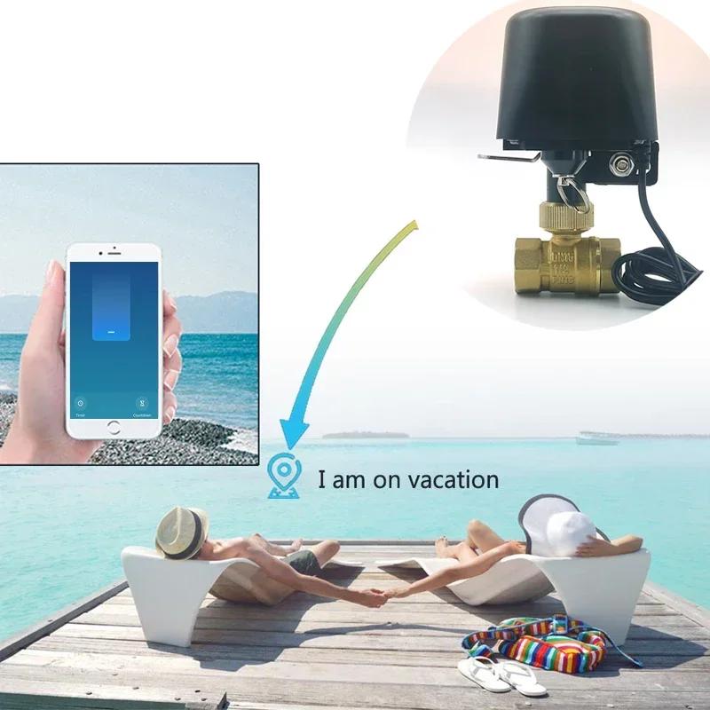 Tuya Zigbee WIFI vanne d'eau intelligente DN15 DN20 DN25 contrôle domotique robinet minuterie prise 