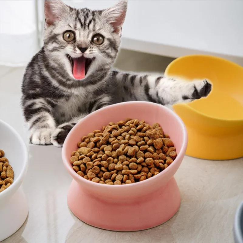 Bols surélevés pour chat petit chien 15 °   Plat d'alimentation alimentaire surélevé incliné, suppor