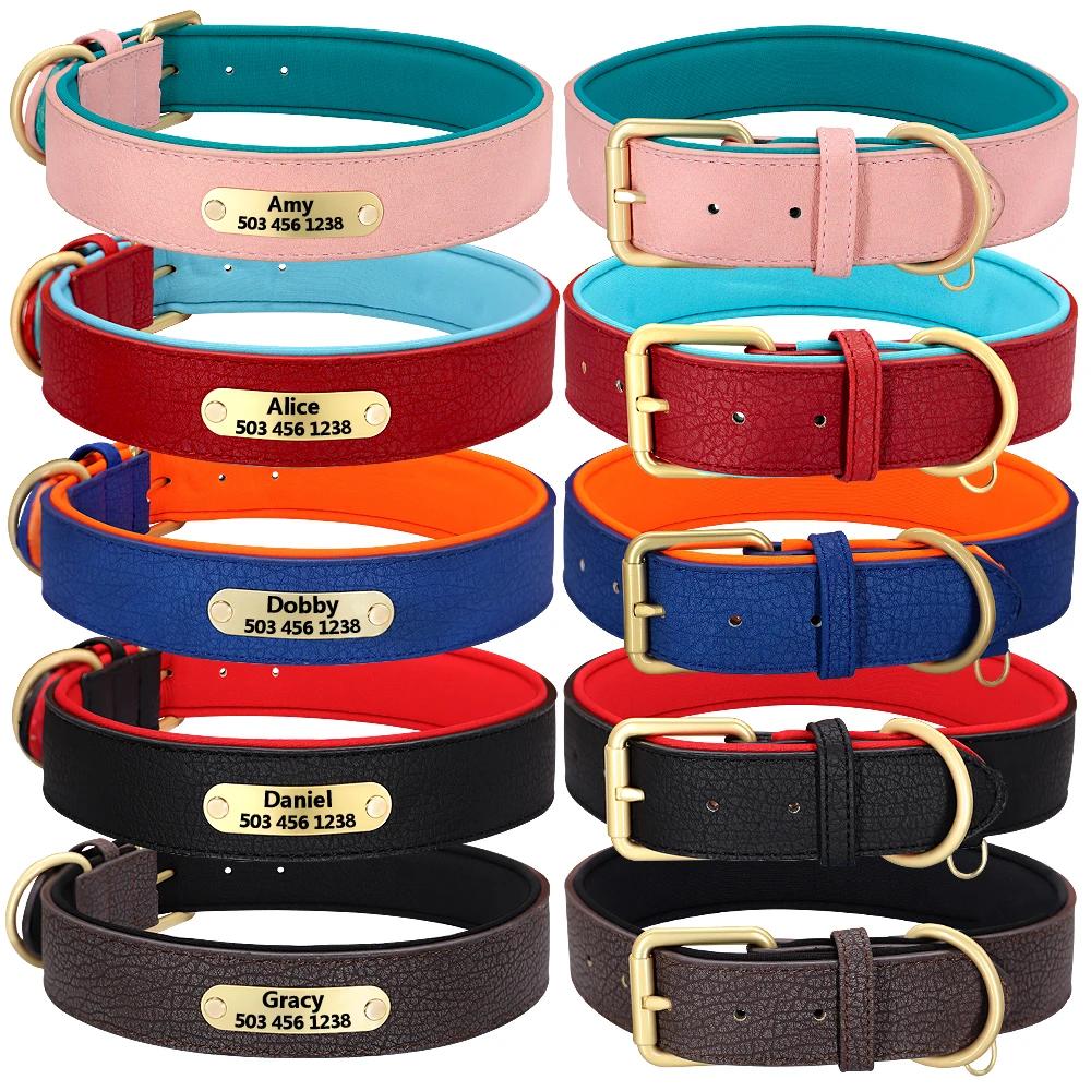 Collier de chien gravé personnalisé colliers de chiens rembourrés en cuir avec étiquette de plaque d'identification pers