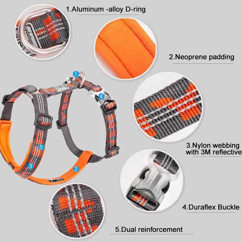 TRUELOVE harnais pour animaux de compagnie gilet sangle de poitrine pour chien chat marche en plein air course escalade 