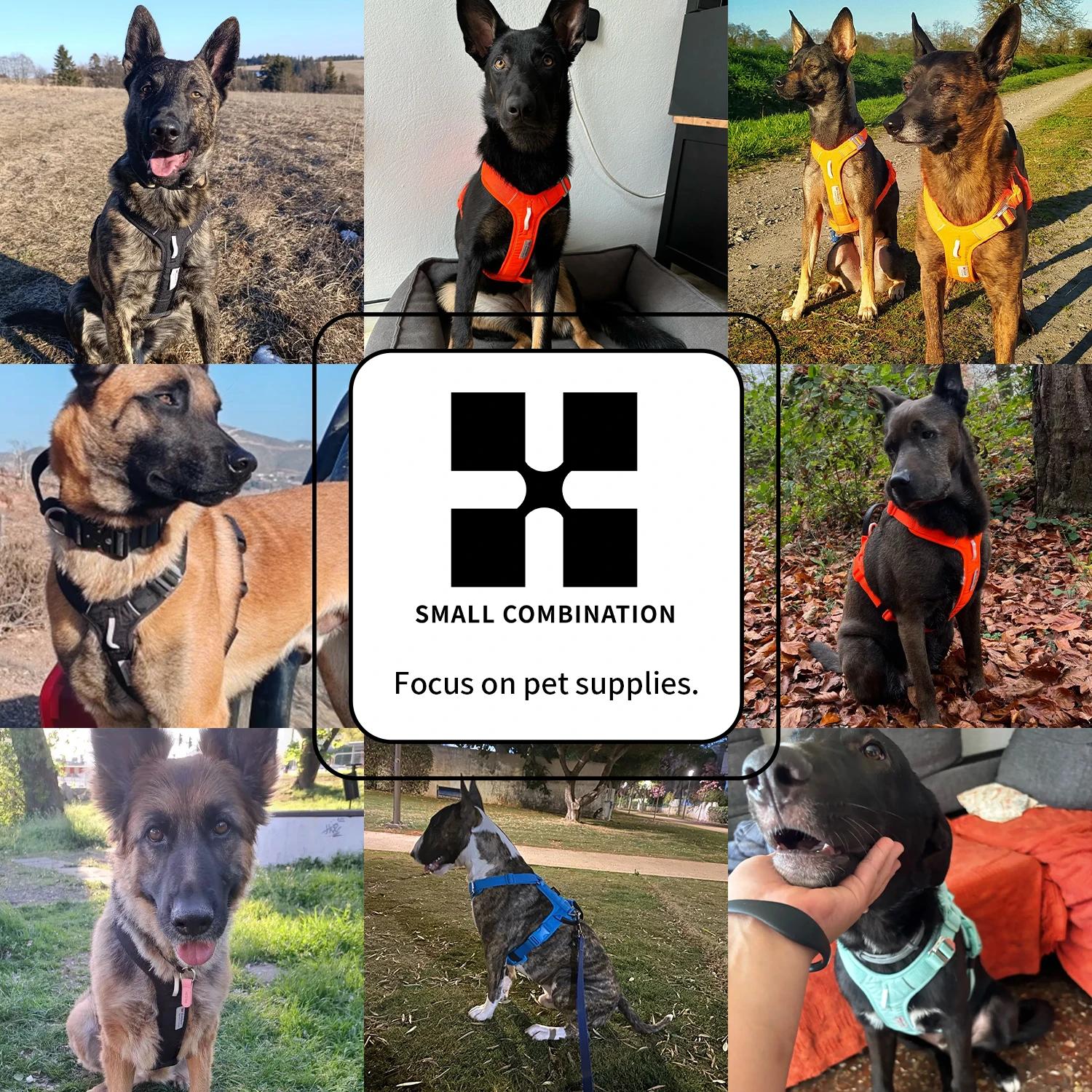 PETIT COMBINATION Harnais pour animaux de compagnie sans traction