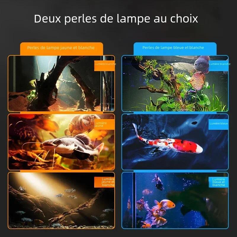 Lumière Led pour Aquarium