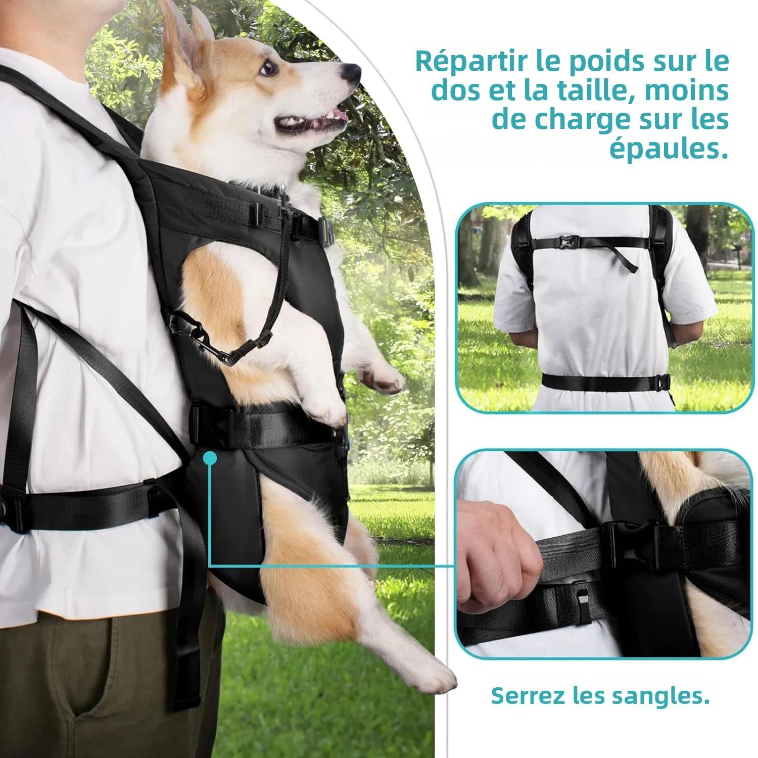 Sacs à dos de transport pour animaux de compagnie