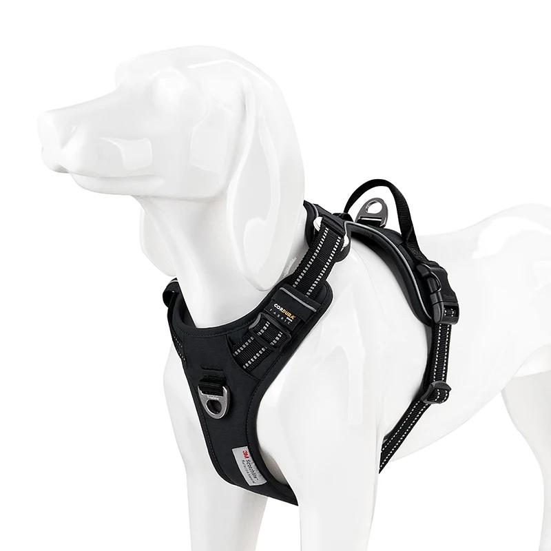 TRUE LOVE harnais pour animaux de compagnie sans traction en Nylon réfléchissant