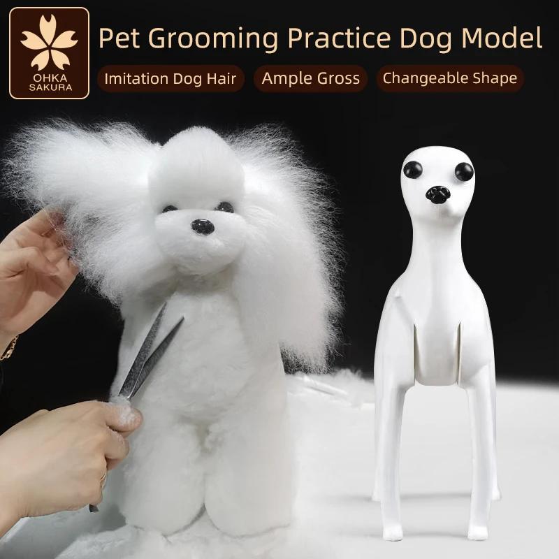 Modèle professionnel de toilettage pour animaux de compagnie, pour pratique de toilettage, modèle sq