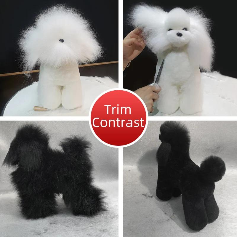 Modèle professionnel de toilettage pour animaux de compagnie, pour pratique de toilettage, modèle sq