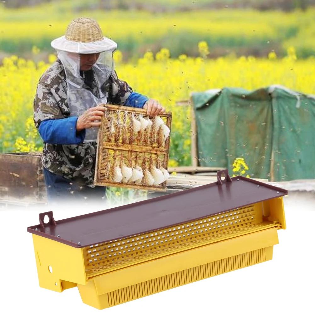 PerfecYellow-Piège en Plastique Ventilé par Escalade, Outil d'Apiculture