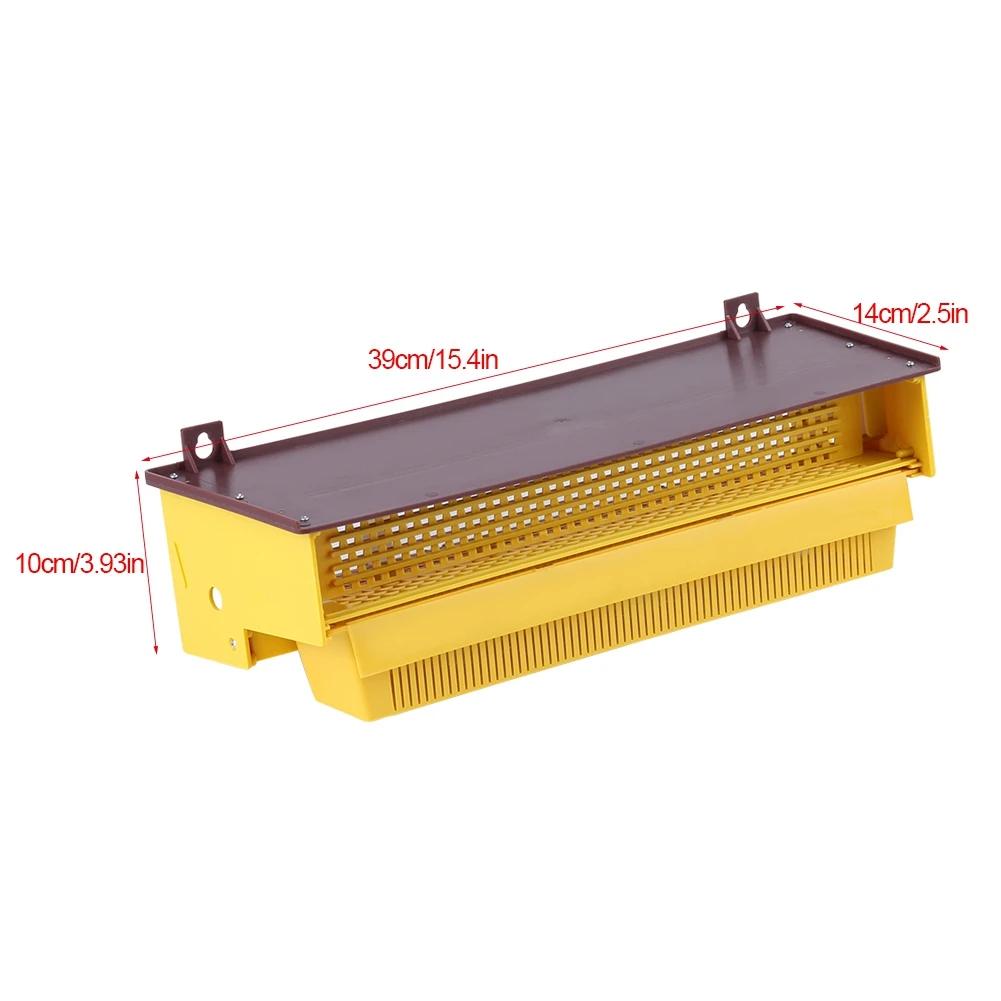 PerfecYellow-Piège en Plastique Ventilé par Escalade, Outil d'Apiculture