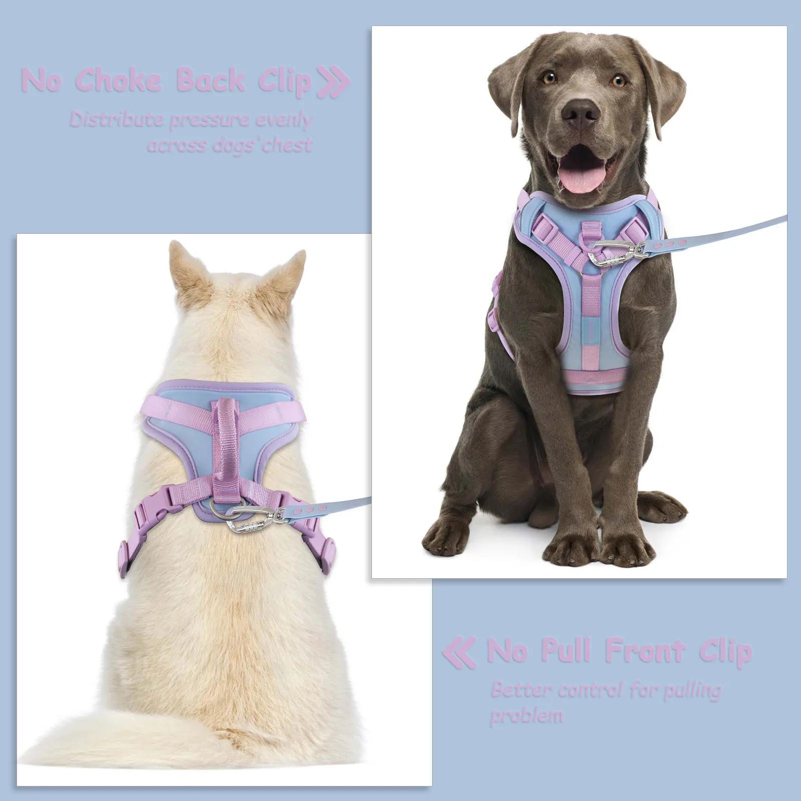 Couleurs d'épissure pour harnais pour chien de luxe moyen, sans traction pour grands et petits chien