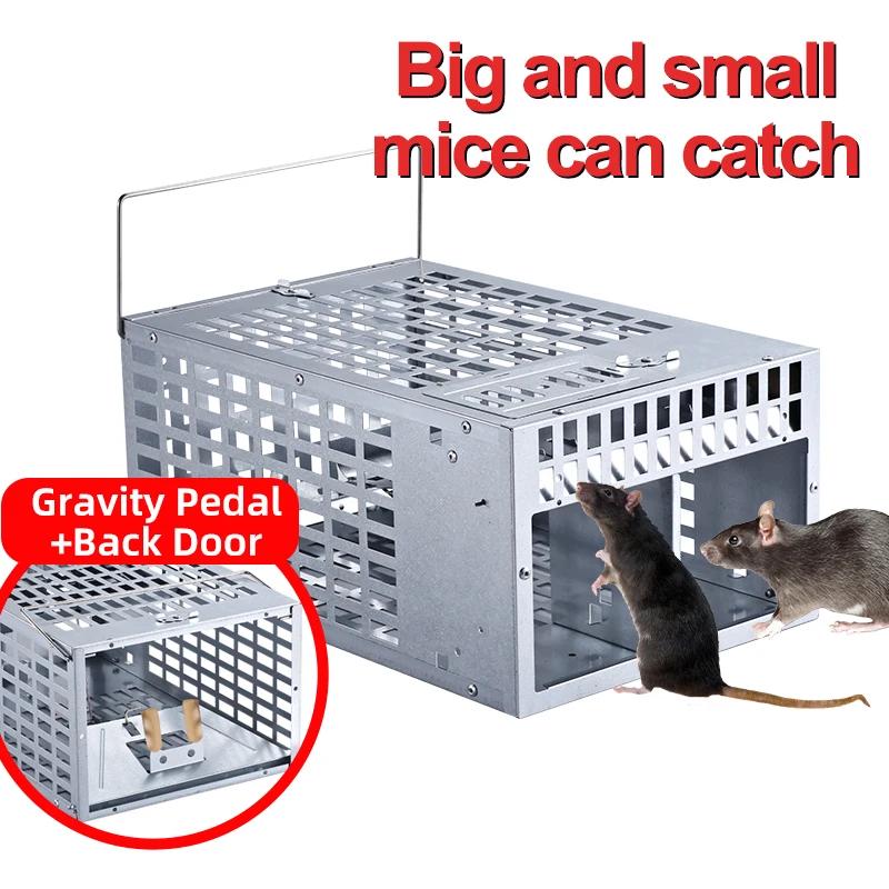 Attrape-souris et rats, piège à souris, cage à rejet antiparasitaire