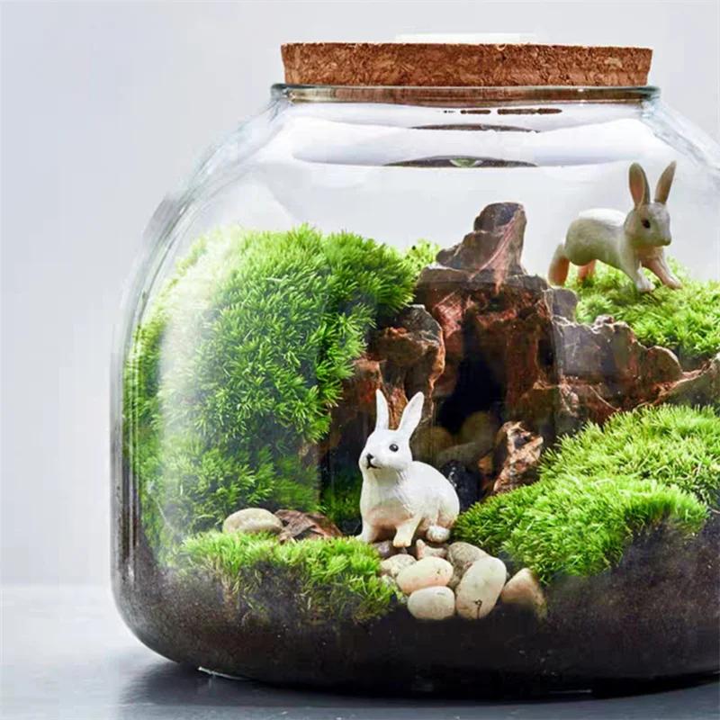 Micro paysage mousse Bryophyte Vase en verre avec liège vert frais mousse bouteille Terrarium en ver